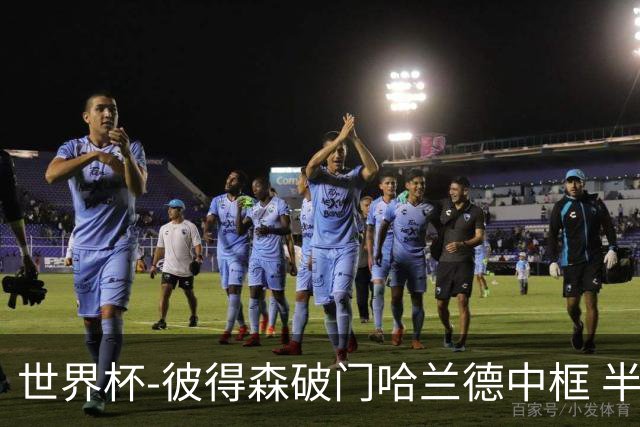 世界杯-彼得森破门哈兰德中框 半场挪威1-0塞内加尔