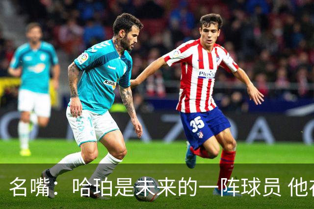 名嘴：哈珀是未来的一阵球员 他在总决赛的高压下依然游刃有余