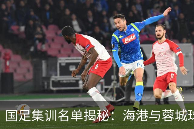 国足集训名单揭秘：海港与蓉城球员成主力军，前景如何？