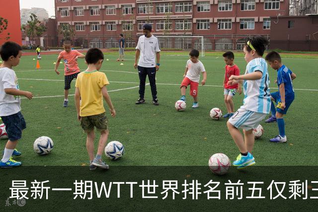 最新一期WTT世界排名前五仅剩王楚钦，上次出现这种情况还要追溯到2003年！-综合体育-乒乓球区-虎扑社区